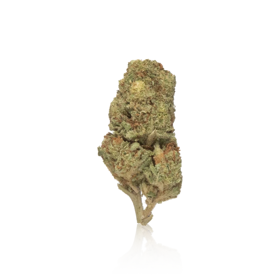 Budget Flower